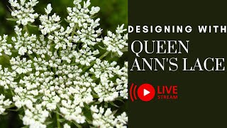 Designing With Queen Annes Lace  LIVE [upl. by Rothmuller135]