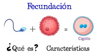 ✅FECUNDACIÓN 1ra SEMANA del DESARROLLO EMBRIONARIO Curso de EMBRIOLOGÍA Humana clase 3 🤰🏼👶🏼 [upl. by Ellenij]