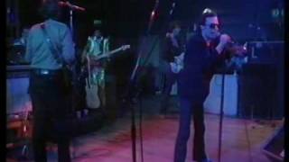 Graham Parker amp The Rumour Dont Ask Me Questions Live 1977 [upl. by Bolten]