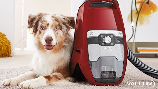 Miele CX1 Blizzard Bagless Vacuum and Miele C3 Cat amp Dog Canister Vacuum [upl. by Albers992]