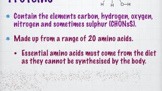 Biological Molecules A Level [upl. by Rfinnej]