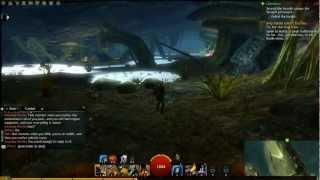 Guild Wars 2 Guide Treasure Hunt Kessex Hills Viathan LakeArm Hidden Point of Interest [upl. by Mail]