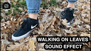 Walking on Leaves Sound Effect [upl. by Wiatt603]