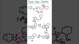 Fischer Indole Synthesis [upl. by Charley]