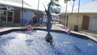 Arriving at cruise port of Freeport Bahamas on the island of Grand Bahama [upl. by Nitsugua]