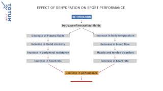 The Effect Of Dehydration on Sports Performance [upl. by Sibelle]