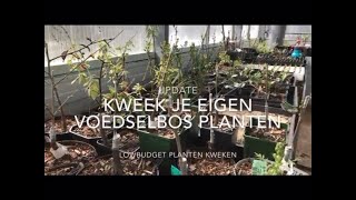 Voedselbos planten kweken [upl. by Nauqet]