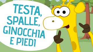 Testa spalle ginocchia e piedi  Canzoni per bambini  Toobys [upl. by Ecnerewal]