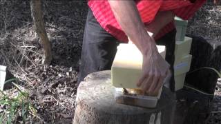 Part 4 Extracting Honey from an Australian Native Beehive [upl. by Hsirrap]