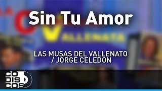 Sin Tu Amor La Combinación Vallenata  Audio [upl. by Mcclees911]