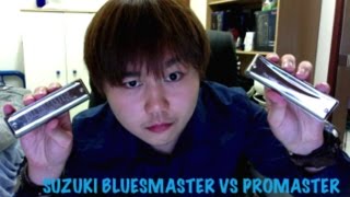 Suzuki Bluesmaster vs Promaster Harmonicas  Review amp Comparison [upl. by Alvinia]