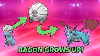 How to Evolve Bagon  Salamence  Pokemon Sword amp Shield [upl. by Borchers]