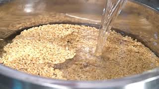 Demonstration Video on Processing of Wheat Milling  English [upl. by Shannon]