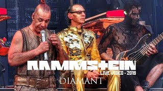 Rammstein  Diamant Live Video  2019 [upl. by Raamaj506]