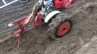 Honda F600 Tiller with Plough [upl. by Damien]