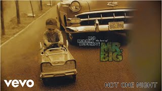 Mr Big  Not One Night audio [upl. by Adnolor]