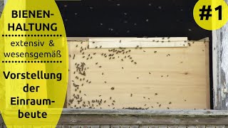 Vorstellung Einraumbeute – Bienenhaltung extensiv amp wesensgemäß 1 [upl. by Benito]