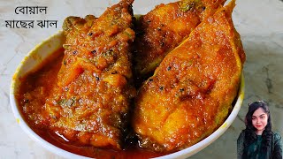 বোয়াল মাছের ঝাল Big Fish Curry Boal Fish Curry Recipe Bengali Style Fish Curry Fish Recipes [upl. by Jean-Claude]