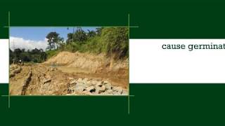 The Causes and Effects of Soil Erosion [upl. by Ewall]