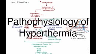 Hyperthermia Pathophysiology [upl. by Ahsat267]