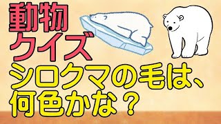 動物クイズ！おもしろい雑学クイズを10問ご紹介！ [upl. by Aihtnamas]