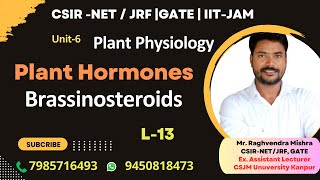 Brassinosteroids  Biosynthesis amp Signaling  Plant Hormones  Plant Physiology genesisinstitute [upl. by Murdock507]