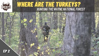 Where are all the Turkeys  Ohios Wayne National Forest [upl. by Hourigan]