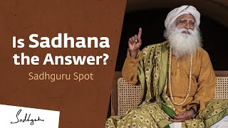 Is Sadhana the Answer  Sadhguru Spot [upl. by Steffie]