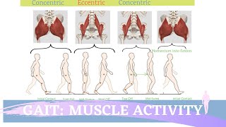 3 HIP FLEXOR Exercises to Improve HIP RANGE OF MOTION [upl. by Nefets]