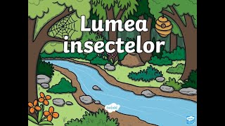 Lumea insectelor material Twinkl [upl. by Alihet]