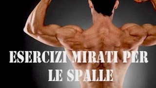 2 esercizi per allenare le spalle in casa  Personal Trainer 27 [upl. by Harihs]