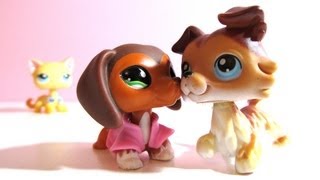 Littlest Pet Shop Popular Episode 21 Whats Done is Done Soustitres français [upl. by Elman]