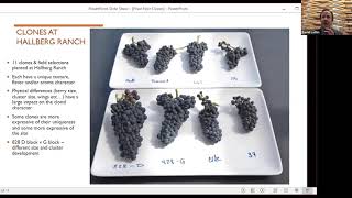 Discovering Clones in Pinot Noir [upl. by Rimaj]