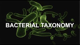 Bacterial Taxonomy  4 Types of Classification Explained [upl. by Akemehc]