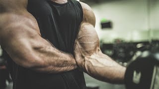 GET BIGGER ARMS  Dumbbell ONLY Bicep Workout [upl. by Eerbua]