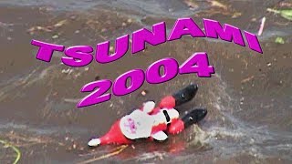 2004 Tsunami in Sri Lanka [upl. by Marlie657]