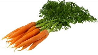 Top 10 Greatest Vegetables for Your Health [upl. by Euqinitram281]