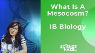 What is a Mesocosm  IB BIOLOGY [upl. by Ayrb684]