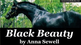 BLACK BEAUTY by Anna Sewell  FULL AudioBook  Greatest AudioBooks V2 [upl. by Venditti]