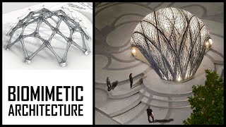 Biomimetic Architecture [upl. by Wyndham]