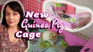 Guinea Pig Cage Unboxing  Cavy Cafe Lookout Lounge and More [upl. by Notrab]