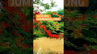 Lesung jumengglung lesungjumengglung krisnariswanto [upl. by Aihsenot555]