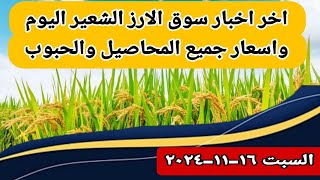 اسعار الارز الشعير اليوم اخر اخبار سوق الارز الشعير اليوم [upl. by Hannibal]