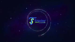 Meet  Team Triazine  Triazine Software Private Limited [upl. by Emorej]