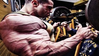 Bodybuilding Motivation  Every day [upl. by Deden]