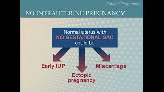 Ultrasound Training Course 14 part 1 [upl. by Corissa1]