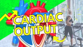 Cardiac Output [upl. by Winni]