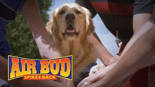 AIR BUD SPIKES BACK Movie  Brasil version [upl. by Ojytteb]