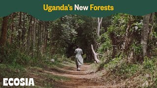 Uganda’s New Forests  Ecosia [upl. by Barnaby]