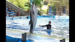 Full Tour of SeaWorld San Antonio in Texas 2024【4K】 [upl. by Atnom]